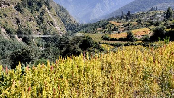 In this valley, life cycles through the shades of prosperity ...